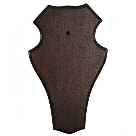 Медальон трофейный 58150077405																