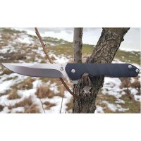 Нож Steelclaw Rassent ст.D2