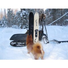 Лыжи деревянные Охотник