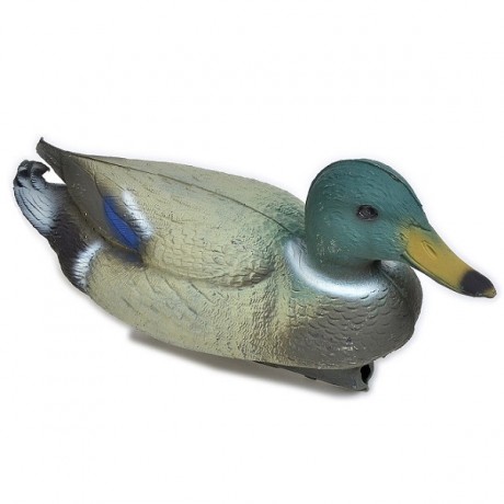 Кряква (селезень)