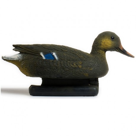 Кряква (утка)